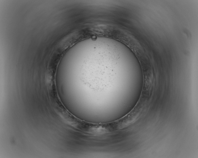 X0000112400749200908141339