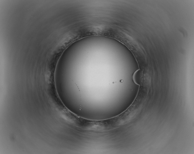 X0000112400750200908141339