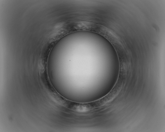 X0000112400751200908141339