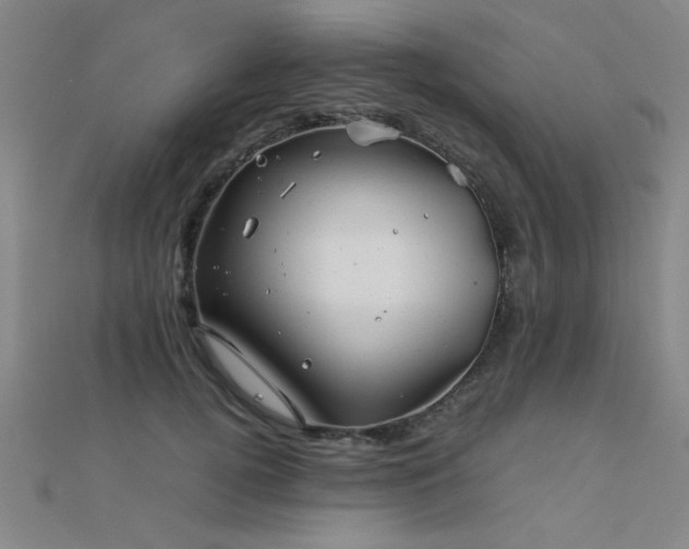 X0000112400752200908141339