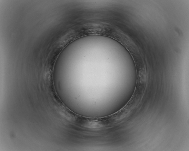 X0000112400753200908141339