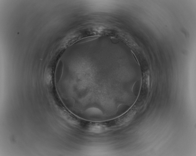 X0000112400754200908141339