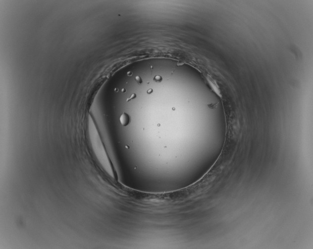 X0000112400756200908141339
