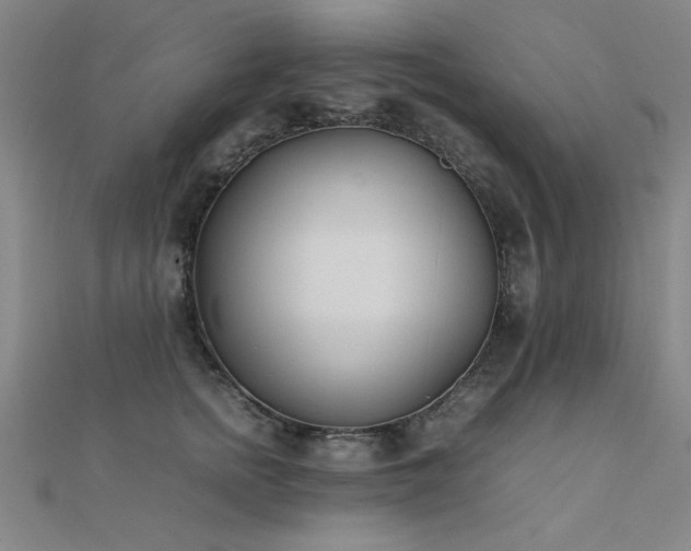 X0000112400758200908141339