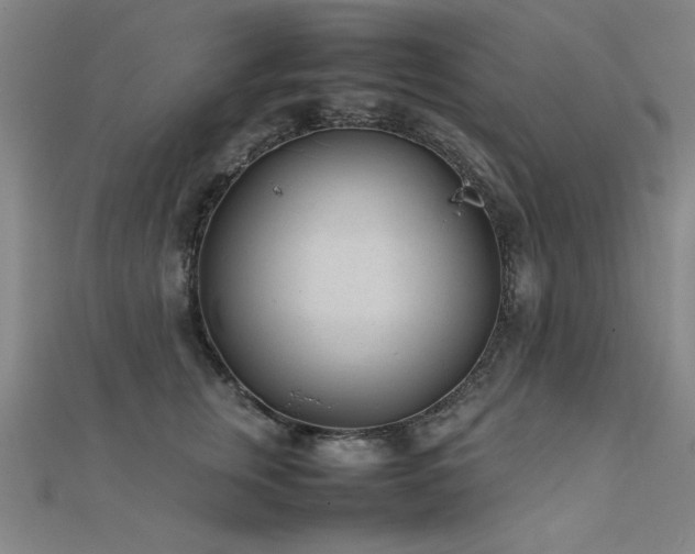 X0000112400759200908141339