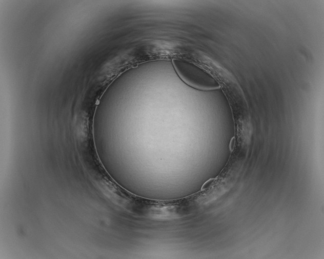 X0000112400760200908141339