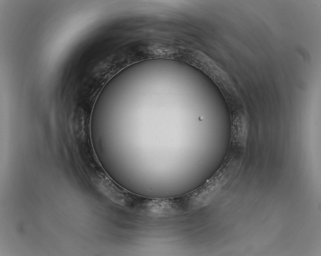 X0000112400762200908141339