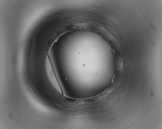X0000112400764200908141339
