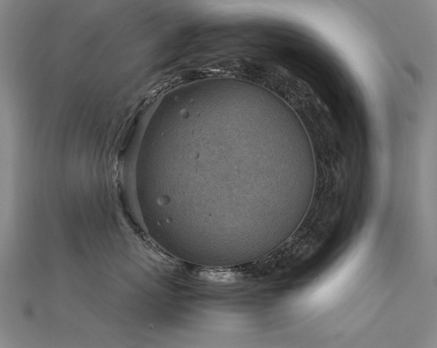 X0000112400767200908141339