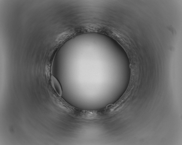 X0000112400768200908141339