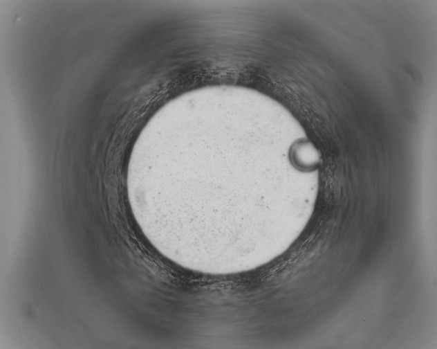 X0000112400769200908141338
