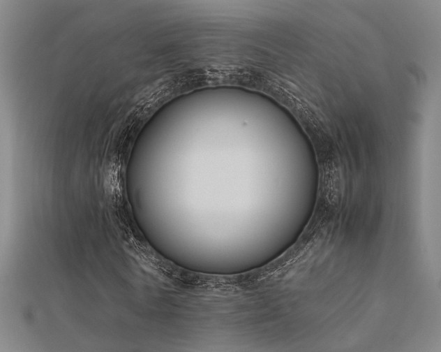 X0000112400770200908141338