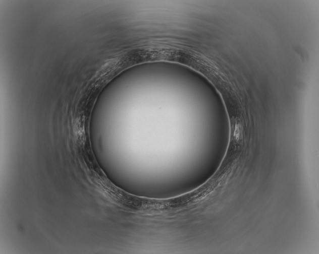 X0000112400771200908141338