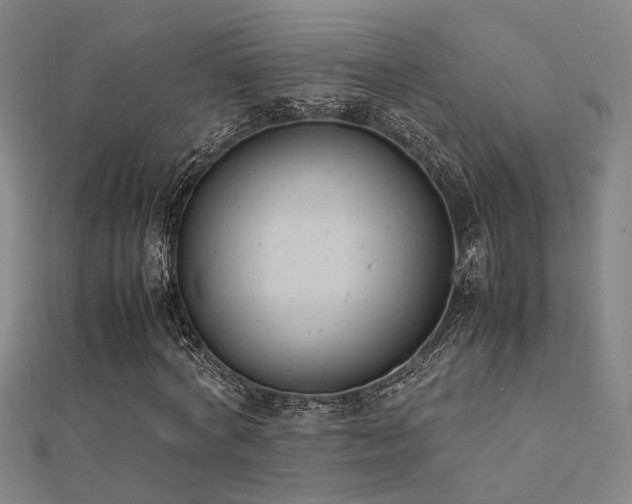 X0000112400772200908141338