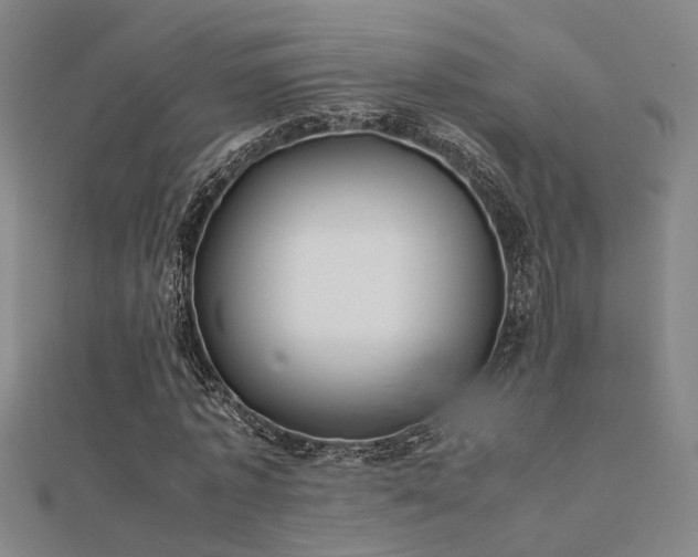 X0000112400773200908141338
