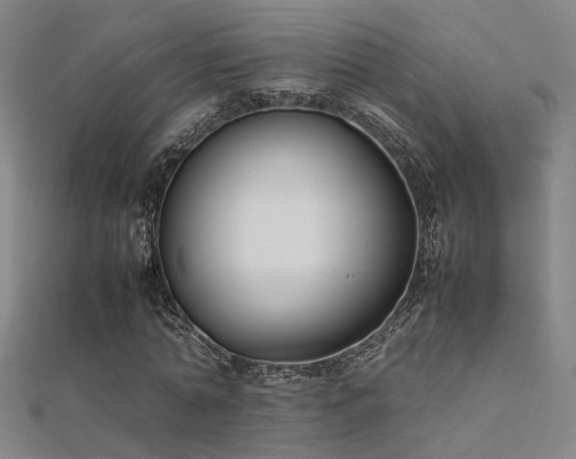 X0000112400774200908141338