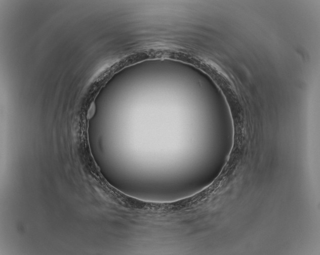 X0000112400775200908141338