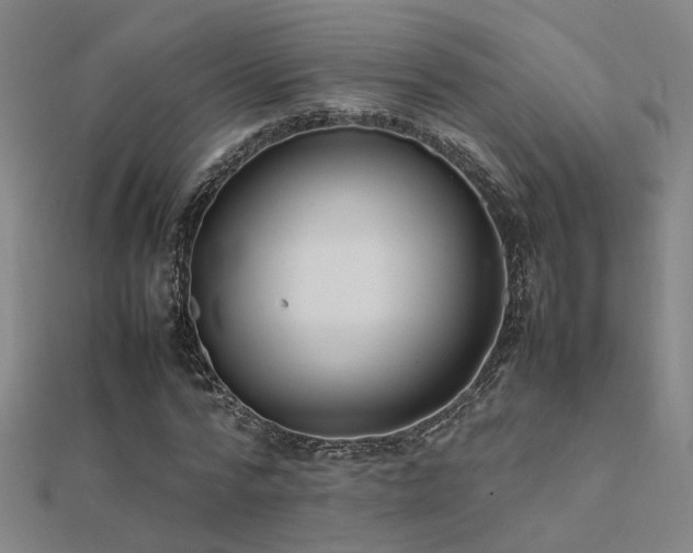 X0000112400776200908141338