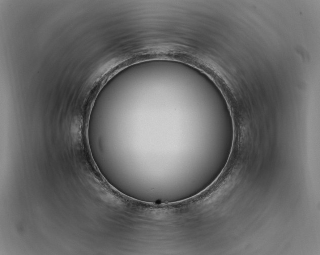 X0000112400778200908141338
