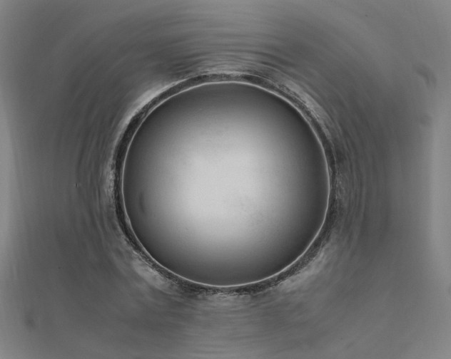 X0000112400779200908141338