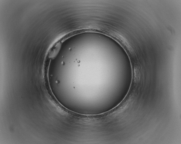 X0000112400780200908141338