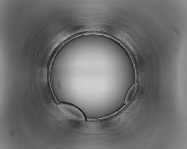X0000112400781200908141338