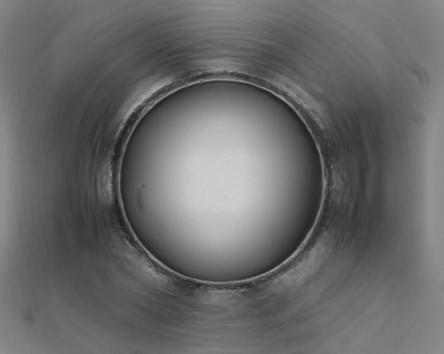 X0000112400782200908141338