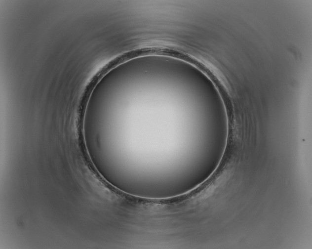 X0000112400783200908141338