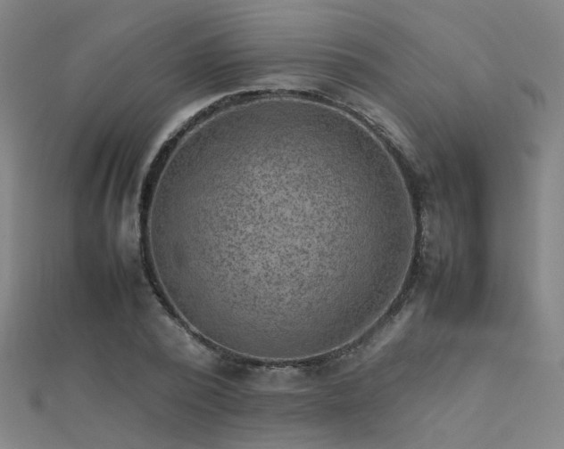 X0000112400784200908141338