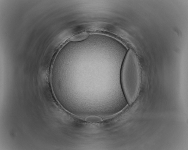 X0000112400785200908141338