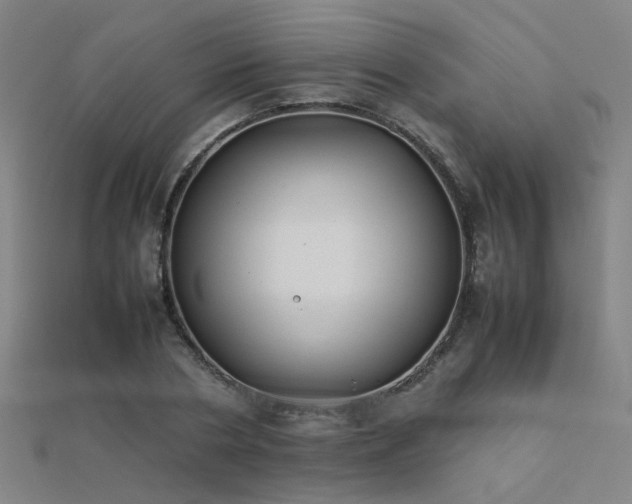 X0000112400786200908141338
