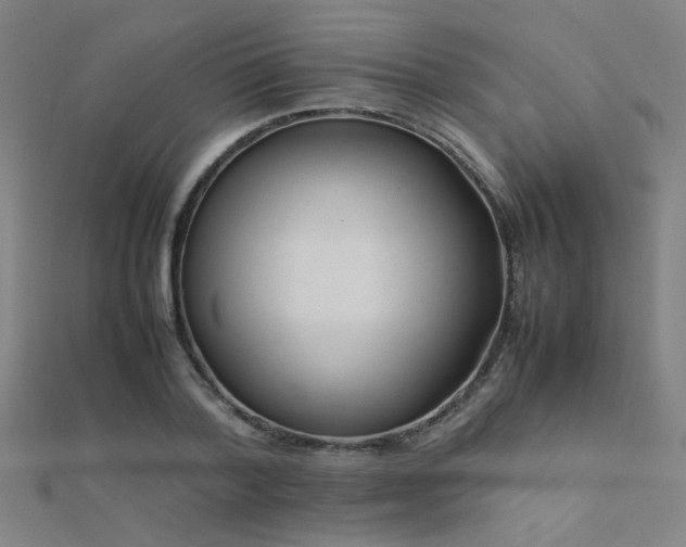 X0000112400788200908141338