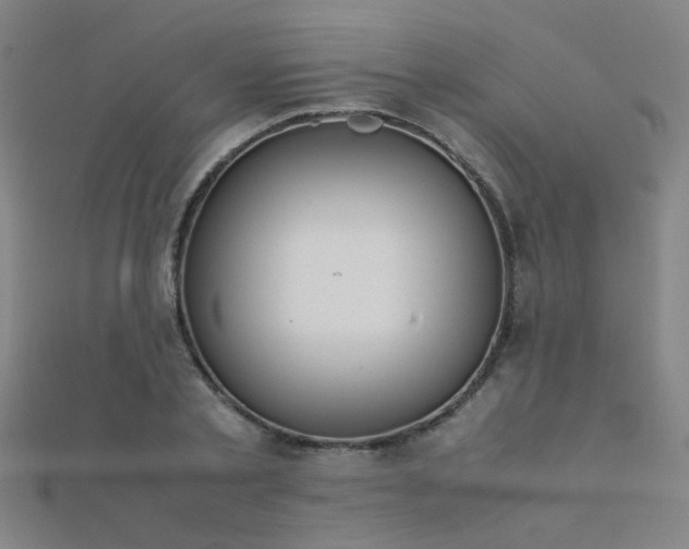 X0000112400789200908141338
