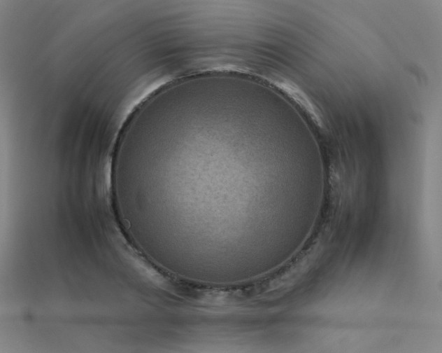 X0000112400790200908141338