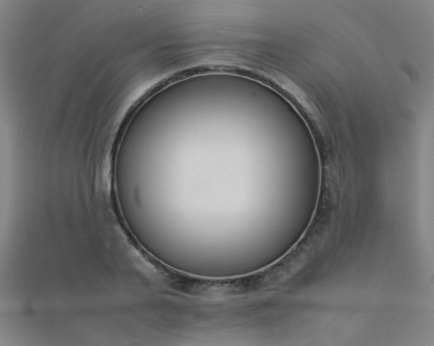 X0000112400791200908141338
