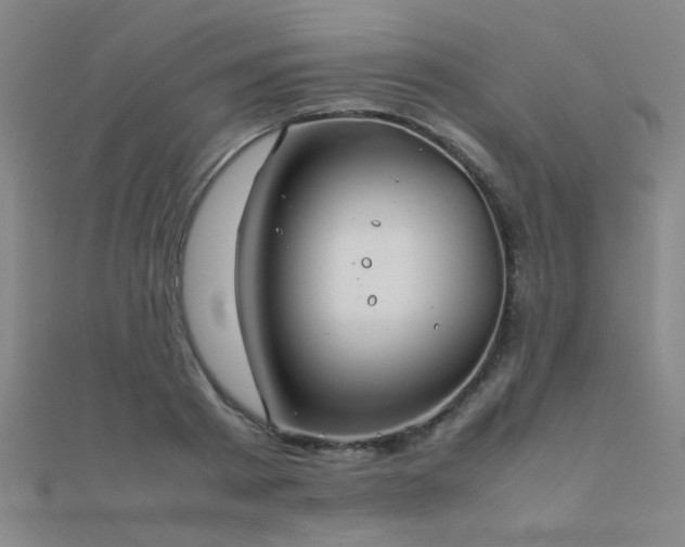 X0000112400793200908141338