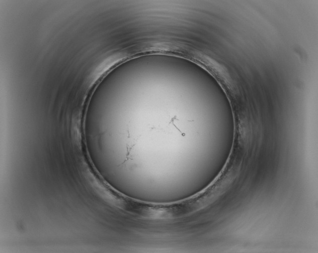 X0000112400794200908141338