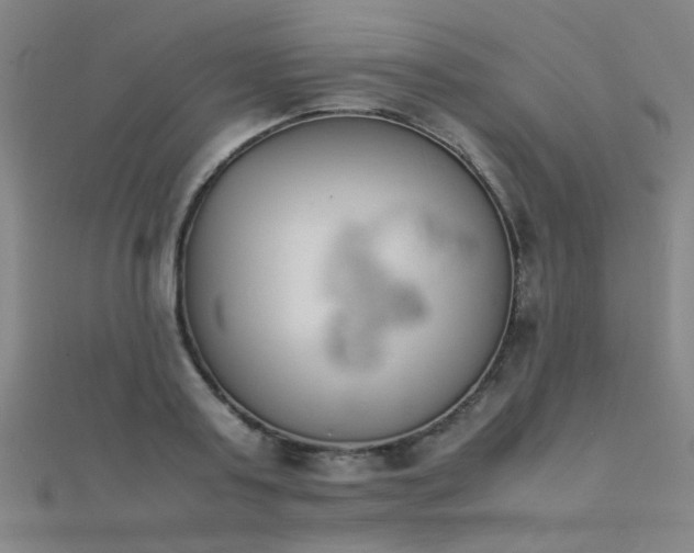 X0000112400795200908141338