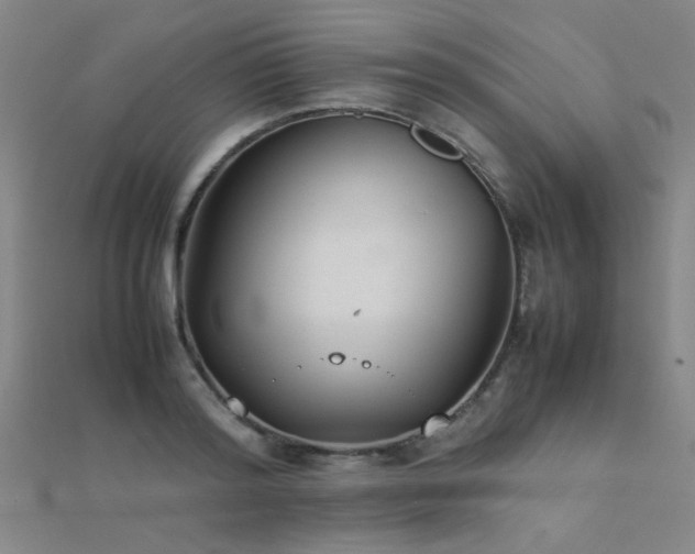 X0000112400796200908141338