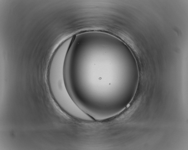 X0000112400797200908141338