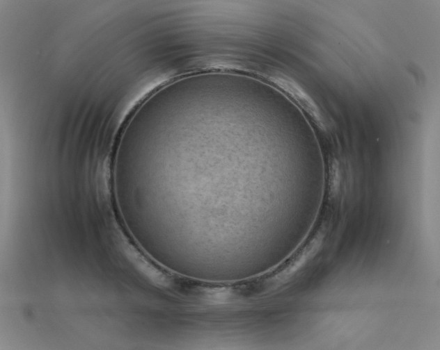 X0000112400798200908141338