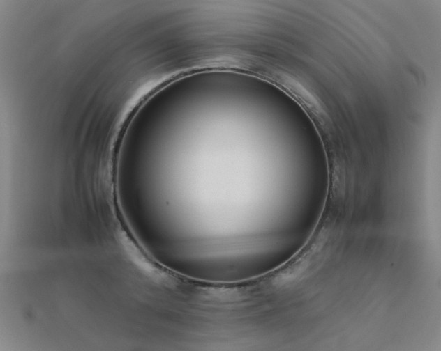 X0000112400800200908141338