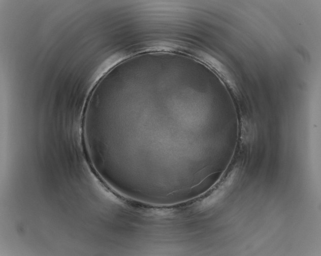X0000112400802200908141338