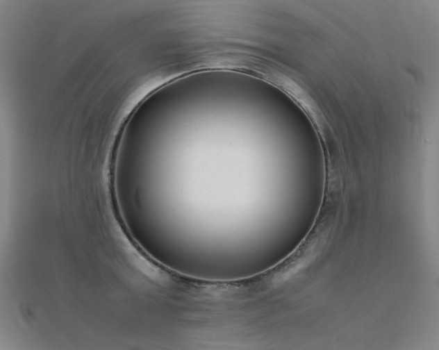 X0000112400803200908141338