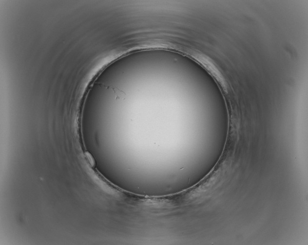 X0000112400805200908141338