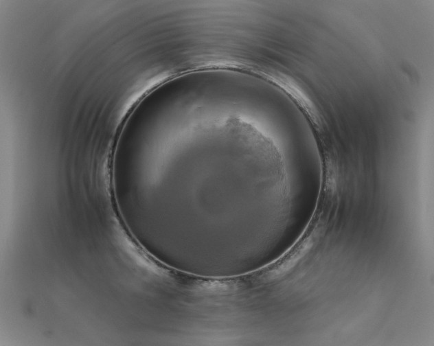 X0000112400806200908141338