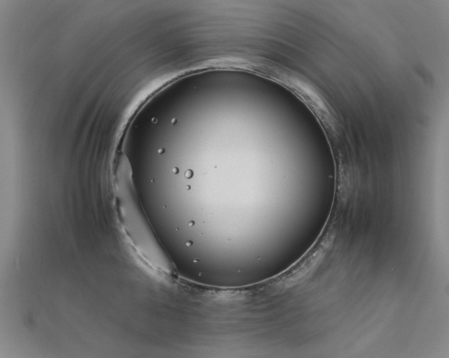 X0000112400808200908141338