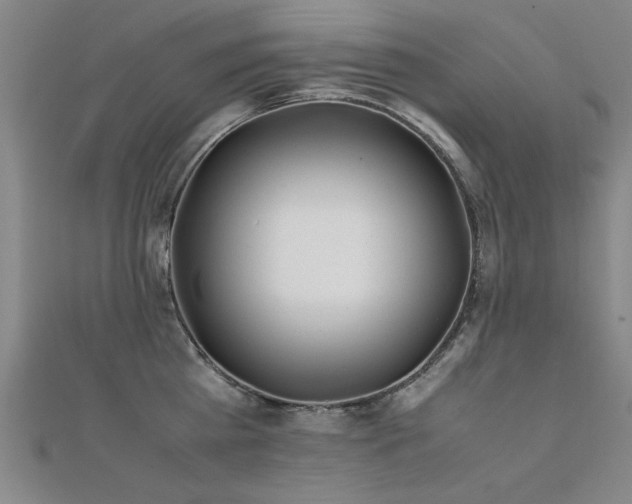 X0000112400809200908141338