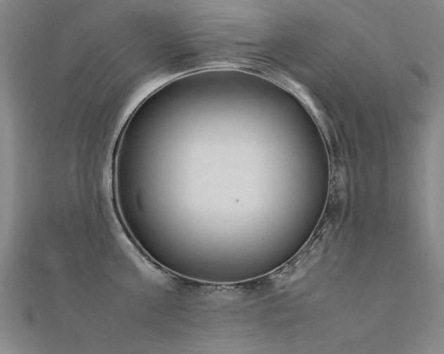 X0000112400811200908141338