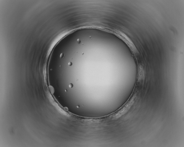 X0000112400812200908141338